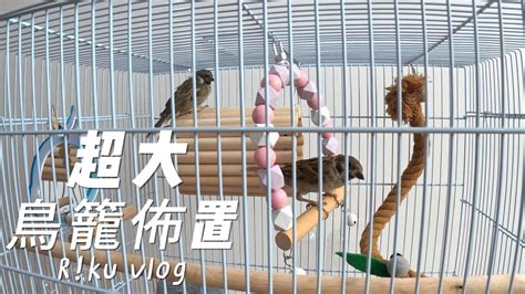 鳥籠佈置|【鸚鵡鳥籠推薦】2024年超人氣鸚鵡籠子評價與使用。